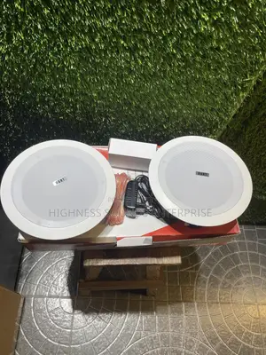 Dart 30W 2-in-1 Frame Bluetooth Ceiling Speaker