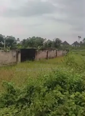 Filin Kasuwanci 100x100 a Titin Nigercat, Ekpan Warri