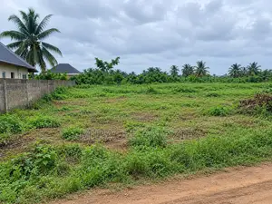 Filin Dadi don Siyarwa a Afam, Gaban Gas Plant na NEPA