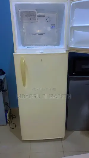 LG 380 Litres Double Door Fridge