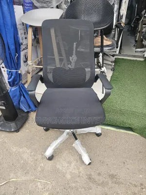 Luxury Modern Executive Chair with Lumbar Support