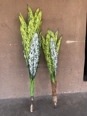 Better Homes & Gardens Artificial Plants