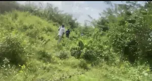 Standard Residential Plot for Sale in Iyana Ajia