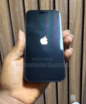 Apple iPhone 15 Pro Max 256GB Graphite