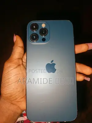Apple iPhone 12 Pro Max 256 GB Blue