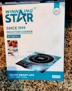 Winning Star Single-Burner Induction Cooker