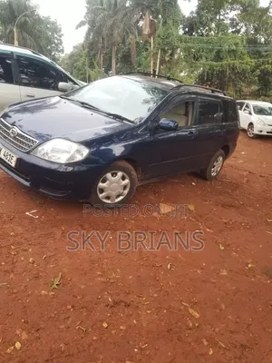 Toyota Corolla Fielder 2005 Blue